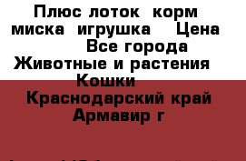 Плюс лоток, корм, миска, игрушка. › Цена ­ 50 - Все города Животные и растения » Кошки   . Краснодарский край,Армавир г.